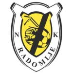 Logo of NK Radomlje U19