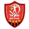 Logo of Tzeirey Um El Fahem