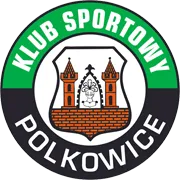 Logo of Gornik Polkowice