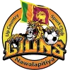 Logo of Up Country Lions SC
