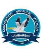 Logo of Pelican Lambarene