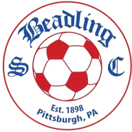Logo of Beadling SC (W)
