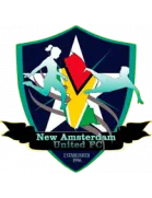 Logo of New Amsterdam