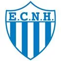 Logo of Novo Hamburgo U19