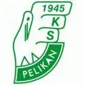Logo of Pelikan Lowicz