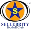 Logo of Sellebrity