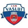 Logo of CSSM Vaslui