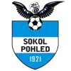 Logo of TJ Sokol Pohled