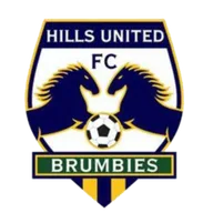 Logo of Hills Brumbies