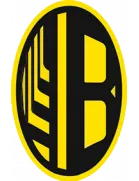 Logo of FC Vilkhivtsi