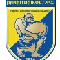 Logo of Panadol Gauss U20