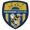 Logo of Werribee City U20