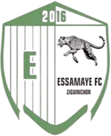 Logo of Essamaye FC