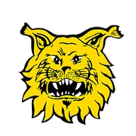 Logo of Ilves Youth
