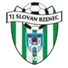 Logo of Horni Briza