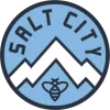 Logo of Salt City