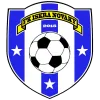 Logo of Novaky