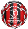 Logo of MS Tirat HaCarmel