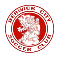 Logo of Berwick City