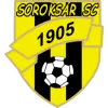 Logo of SOROKSAR