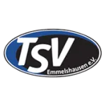 Logo of TSV Emmelshausen