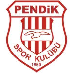 Logo of Pendikspor U19