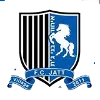Logo of Ihud Bnei Jat