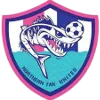 Logo of Northern Tak United