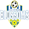 Logo of San Antonio Blossoms (w)