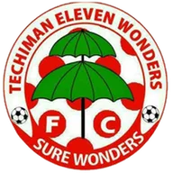 Logo of Techiman Eleven Wonders