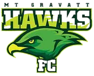 Logo of Mount Gravatt Hawks