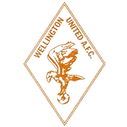 Logo of CF Wellington United Women