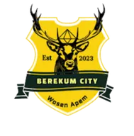 Logo of Berekum City