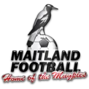 Logo of Maitland FC Reserves
