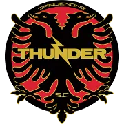 Logo of Dandenong Thunder