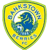 Logo of Canterbury Bankstown FC