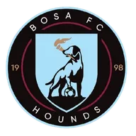 Logo of BOSA SC