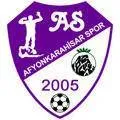 Logo of Afyonkarahisarspor
