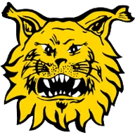 Logo of FC Ilves II (w)