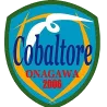 Logo of Cobar Torre Onagawa