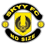 Logo of Skyy FC