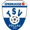Logo of TSV Sparkasse Pollau