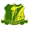 Logo of Shire Endaselassie FC