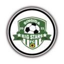 Logo of Singida Big Stars