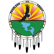 Logo of Peerless SC