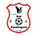 Logo of Sua Flamingoes