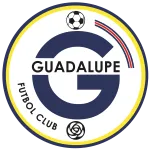 Logo of Guadalupe FC