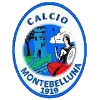 Logo of Montebelluna