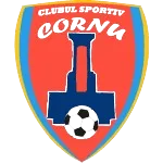 Logo of ACS DP Cornu