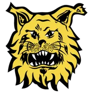 Logo of Ilves Tampere II
